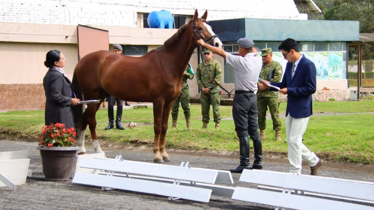 Ecuador recibirá el Campeonato Mundial Militar de Equitación 2026 con delegaciones de unos 20 países