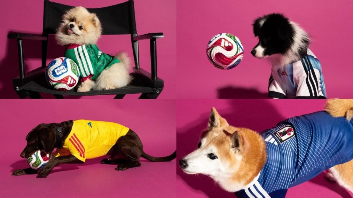 Adidas presenta una colección de camisetas del Mundial 2026 para mascotas